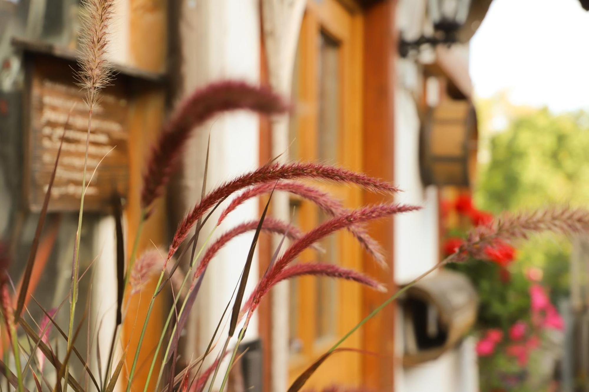 Pension Baarblick Hotel Donaueschingen Exterior photo